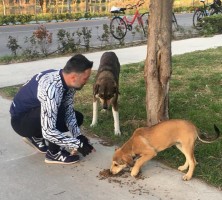 PEDALHANE SOKAKTAKİ DOSTLARINI UNUTMADI