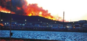 PETKİM’DEKİ ORMAN YANGIN KORKUTTU