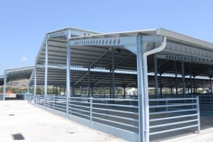 MODERN HAYVAN PAZARI AÇILIYOR