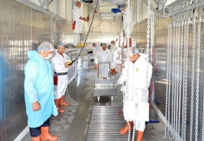 7 İLÇEDE SEYYAR MEZBAHA