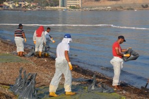 NUMUNELER TÜBİTAK’TA