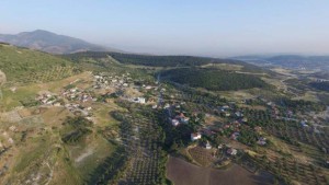 38 BİN 400 FİDAN ALİAĞA’DA HAYAT BULACAK