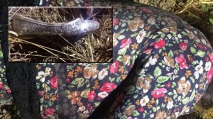 ŞAKRAN’DAKİ KADIN CESEDİNİN KİMLİĞİ ÇÖZÜLÜYOR