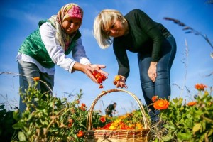 KADINLAR AYNISEFA İLE YURT DIŞINA AÇILDI