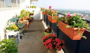 BELEDİYEDEN “BALKONDA BAHAR VAR” PROJESİ