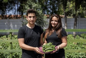 OKULDA ORGANİK SEBZE YETİŞTİRİYORLAR