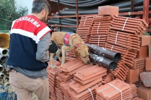 İZMİR'DE UYUŞTURUCU OPERASYONU