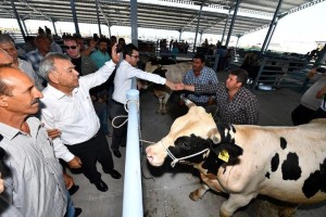 BAKIRÇAY'IN EN BÜYÜĞÜ