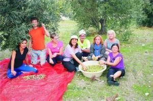 Afacan Gençlik Evi kendi zeytinini kendi üretiyor