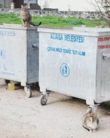 SOĞUK HAVA EN ÇOK ONLARI VURUYOR