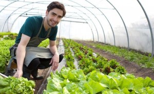 UZMAN ELLER PROJE BİLGİLENDİRİLMESİ YAPILACAK