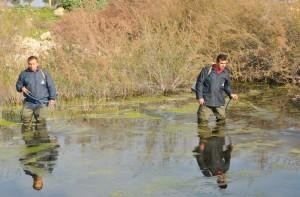 Aliağa sineksiz yaza hazırlanıyor