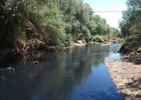 BAKANLIK GEDİZ NEHRİ İÇİN HAREKETE GEÇTİ