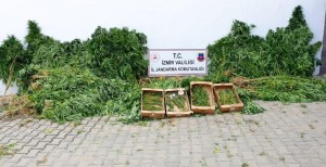 UYUŞTURUCU OPERASYONUNDA 12 ZANLI YAKALANDI