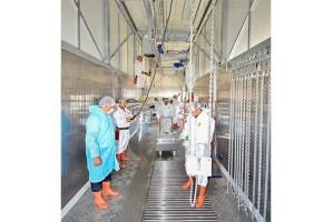 Büyükşehir Kurban Bayramı’na hazır