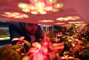 Güneşi taklit eden teknoloji geliştirdi