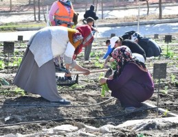 Mahalle Bostanı’nda kış sebzelerinin ekimi başladı