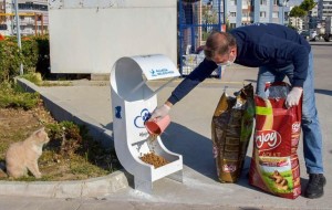 SOKAK HAYVANLARI UNUTULMADI