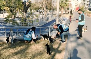 TÜGVA SOKAK HAYVANLARINI BESLEDİ