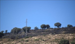 ÇALTILIDERE’DE ÇIKAN YANGIN KORKUTTU