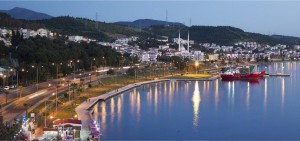 YALI’DAKİ ORMANLIK ALAN İLÇE DIŞINA ÇIKARILACAK