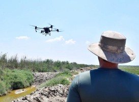 Sivrisinek ile dronlu mücadele