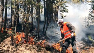 BAKANLIKTAN ‘ORMAN YANGINLARI’ GENELGESİ