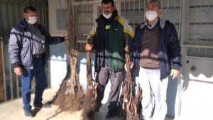 1075 ADET FİDAN DAĞITILDI