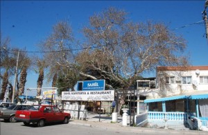 ASIRLIK ÇINARIN ALTINDA 80 YILLIK MEKÂN