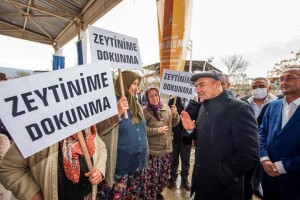 SOYER’DEN ZEYTİNLİK DÜZENLEMESİNE TEPKİ