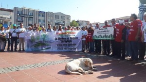 “EMEK MÜCADELENİZİ DESTEKLİYORUZ”