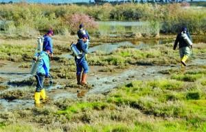 SİVRİSİNEKLE MÜCADELE BAŞLADI