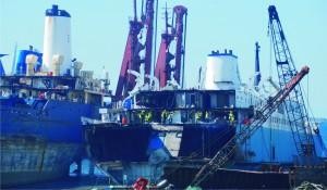 Sökümcülerin hedefi ithalatı azaltmak