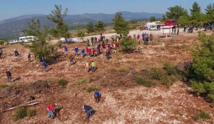 20 BİN FİDAN TOPRAKLA BULUŞTU