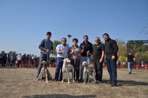 ATATÜRK’ÜN KÖPEĞİ ‘FOKS’ ANISINA FESTİVAL