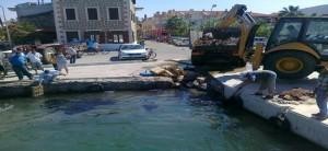 YENİFOÇA'DA SAHİLİNDE ÇEVRE KATLİAMI.