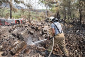 ORMAN GÖNÜLLÜLERİ EKİBİ KURULUYOR