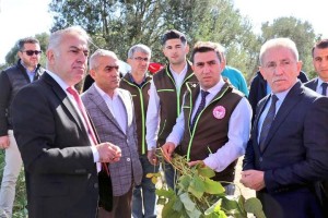 Yüksek proteinli kaba yem üretimi yaygınlaştırılıyor