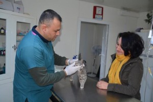 3 BİN 240 SOKAK HAYVANI TEDAVİ EDİLDİ