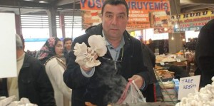 KARTAL YUVASINDA "MANTAR PARTİSİ" VAR!