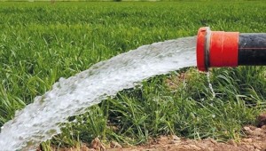 TARLALARINIZI ATIK SULARLA SULAMAYIN