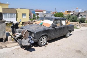 O KEDİLER ARTIK ÖZGÜR