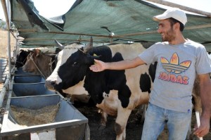 KURBANLIKLAR ALICILARINI BEKLİYOR