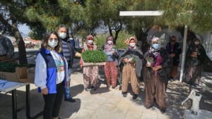 İLÇE TARIM FİDE DAĞITIMINA BAŞLADI