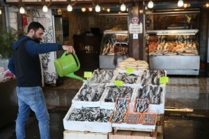 Sert kış, balıkçının umudunu seneye bıraktı