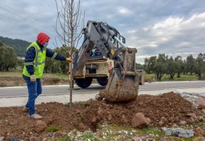 BOZKÖY’E 75 ADET SÜS ARMUDU