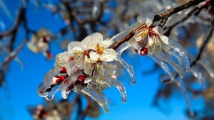 SOĞUK HAVA HAFTA SONUNA KADAR SÜRECEK