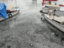 DENİZE DÖKÜLEN ATIKLAR ARAŞTIRILACAK