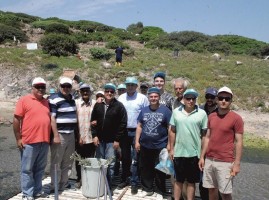 YEŞİL BİR TAVŞAN ADASI İÇİN