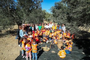 Minik öğrenciler zeytin hasadı yaptı